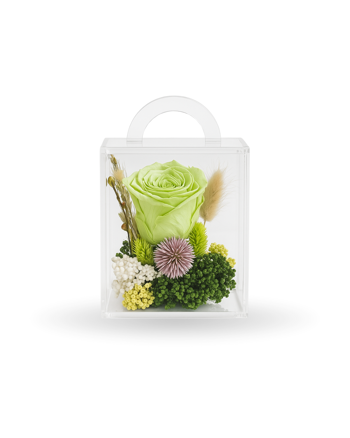 Mini Matcha Bloom