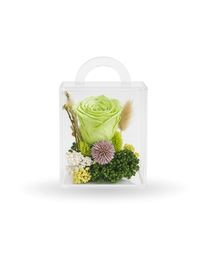 Mini Matcha Bloom
