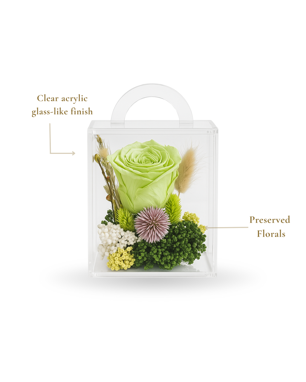 Mini Matcha Bloom