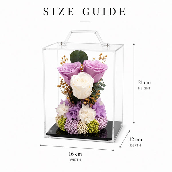 Lilac Signature Bloom