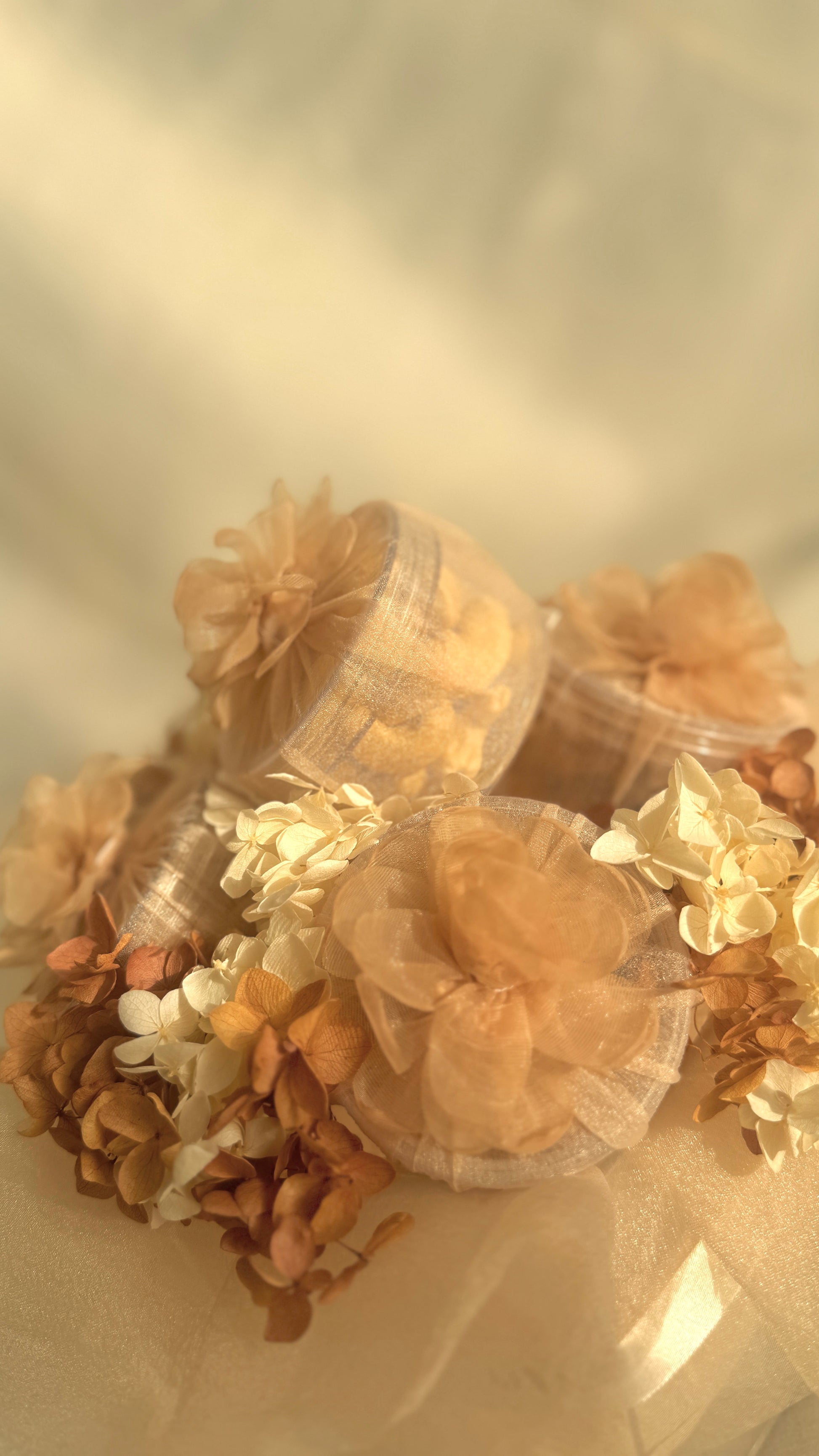 Beige Nourish Bloom
